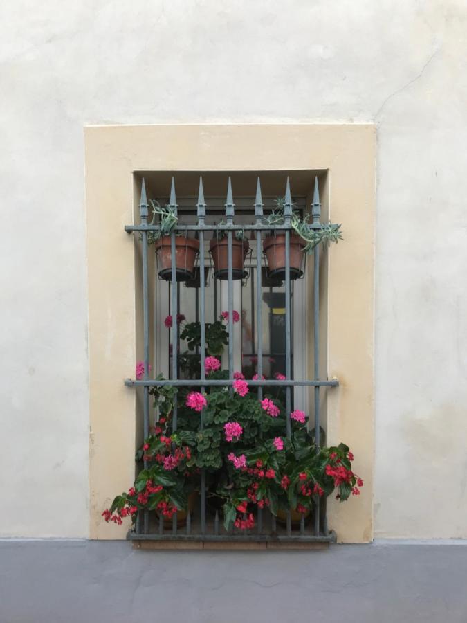 Simone'S Houses Montpellier Ngoại thất bức ảnh